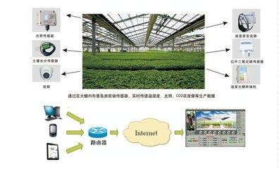 圣啟農業物聯網 為現代農業插上“云翅膀”